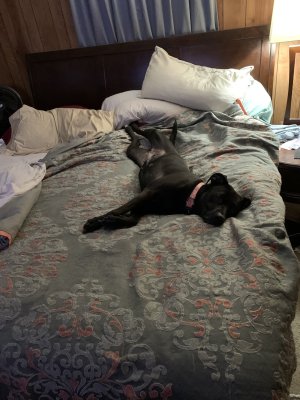 IMG_0313.jpeg IMG_0313.jpeg