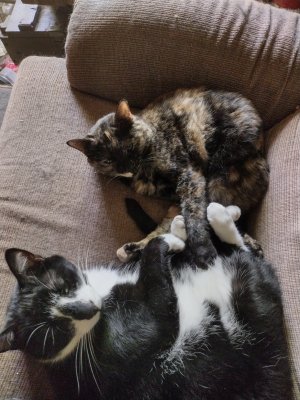 IMG_20220519_123352041_HDR.jpg IMG_20220519_123352041_HDR.jpg