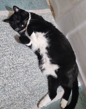 1695650890923.png 1695650890923.png