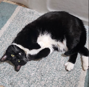 1695650932690.png 1695650932690.png