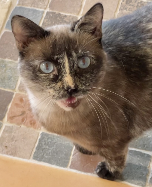 1695654861061.png 1695654861061.png