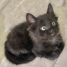 1695655047137.png 1695655047137.png