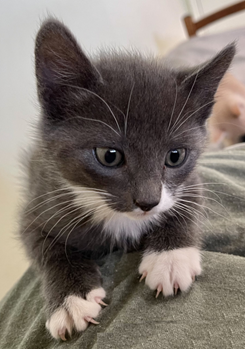 1695655080581.png 1695655080581.png