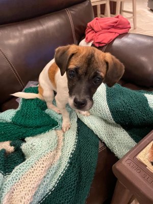 Tina Bee.jpeg Tina Bee.jpeg