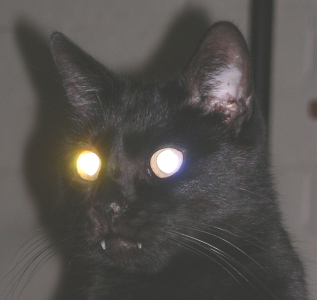 1695744288383.png 1695744288383.png