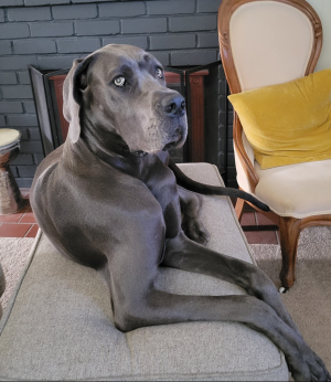 1695757408549.png 1695757408549.png