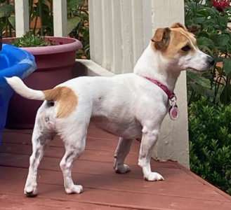 1695757490248.png 1695757490248.png