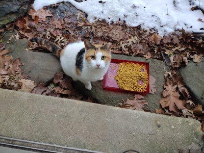 IMG_20220213_081716.jpg IMG_20220213_081716.jpg