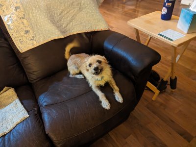 PXL_20230822_123910996-1.jpg PXL_20230822_123910996-1.jpg