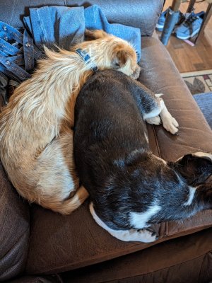 PXL_20230826_164103887-1.jpg PXL_20230826_164103887-1.jpg