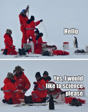 science penguin.jpg