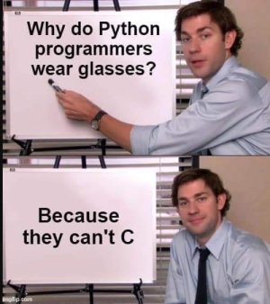python_c.jpg