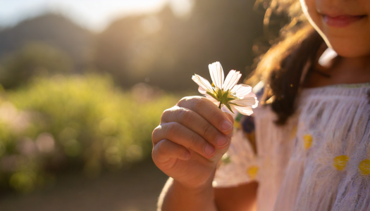 1697069756740.png 1697069756740.png