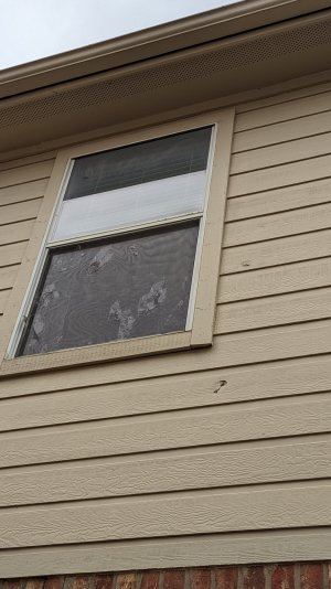 PXL_20230925_143948204.jpg PXL_20230925_143948204.jpg