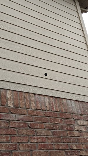 PXL_20230925_143953859.jpg PXL_20230925_143953859.jpg