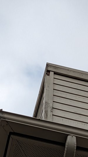 PXL_20230925_144039158.jpg PXL_20230925_144039158.jpg