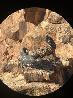 1697308957409.jpeg 1697308957409.jpeg