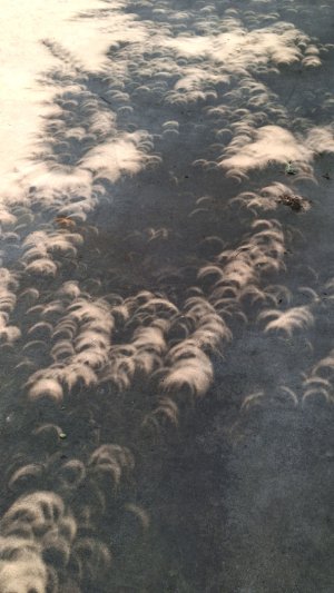 pinhole1080.jpg pinhole1080.jpg