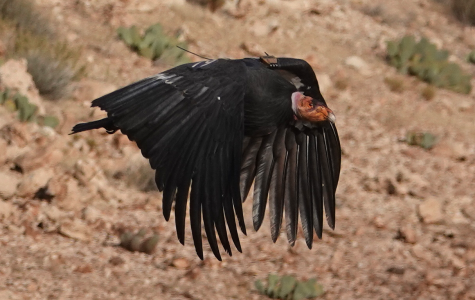 1697466939249.png 1697466939249.png