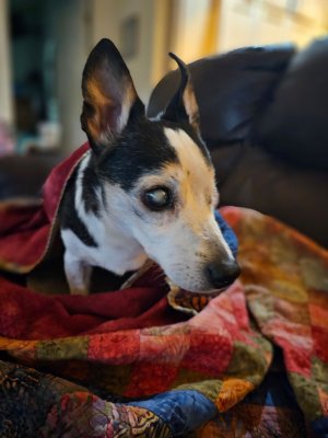 image000000.jpg (1).jpeg