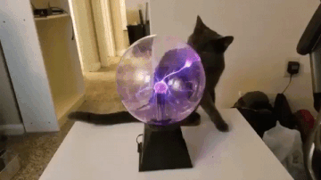 lick.gif