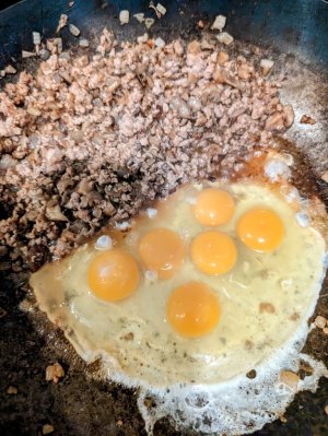 PXL_20231111_010427616-EDIT (Medium).jpg