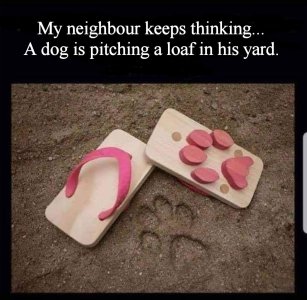 Dogs_garden.jpg Dogs_garden.jpg