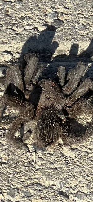 IMG_0351.jpeg IMG_0351.jpeg