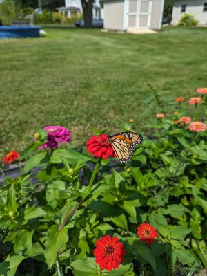 PXL_20230810_194542988.jpg PXL_20230810_194542988.jpg