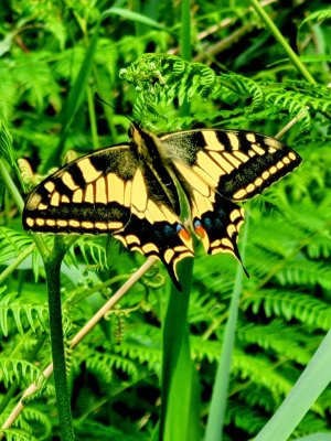 1000015188.jpg 1000015188.jpg