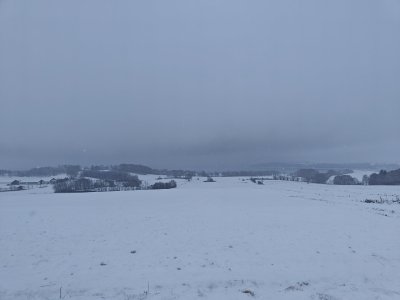 IMG20231203095504.jpg IMG20231203095504.jpg