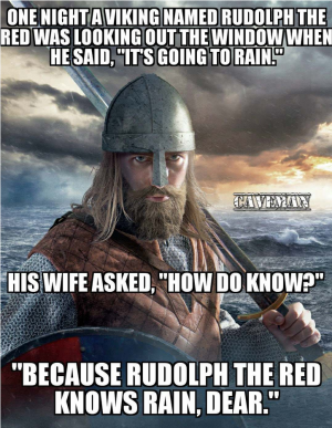 rudolph the red knows rain dear joke viking.png