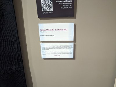 PXL_20221115_185735495.jpg