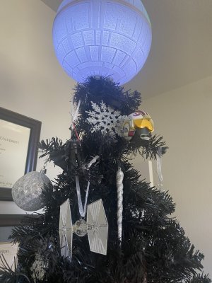 Tree Top.jpg