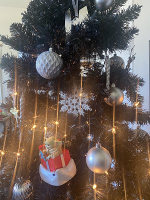 Tree Side.jpg
