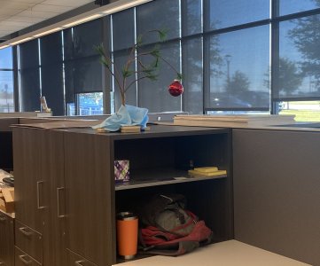 Office Cube Tree.jpg