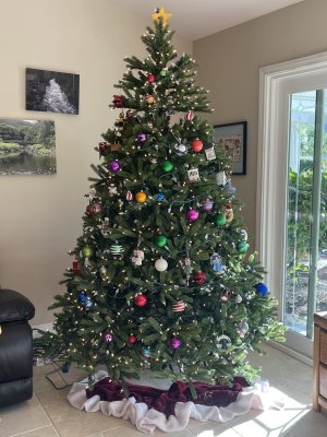 Tree.jpg