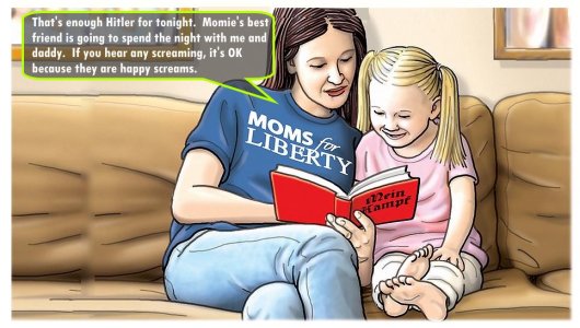 maga-mom-teaching-daughter-all-about-taking-liberties-v0-rdb6xfahkx5c1.jpeg