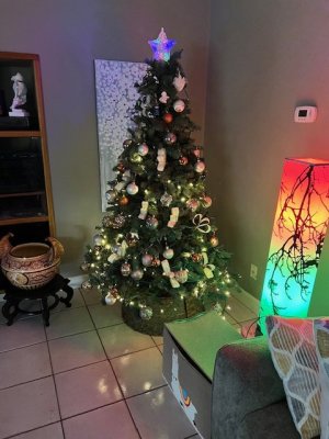 IMG_1607 (1).jpg