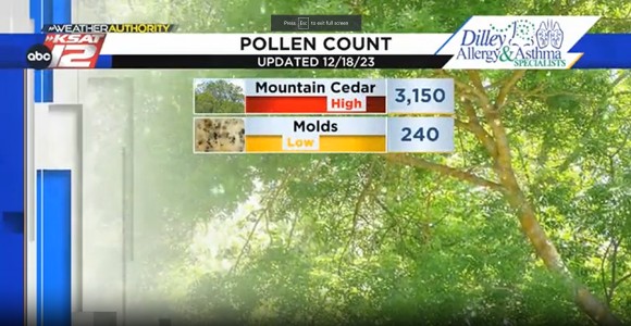 cedar-pollen.png