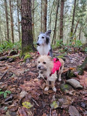 image000001.jpg (1).jpeg