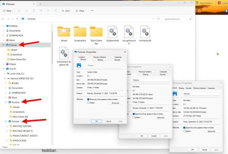 3 Picture Folders.jpg