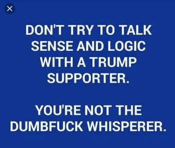 1703629881924.png
