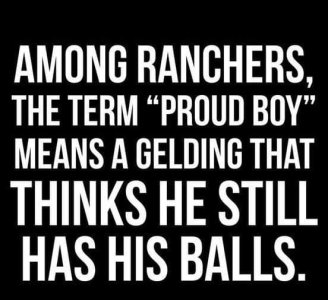 FB_IMG_1692980444461.jpg