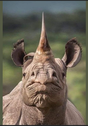 2023-12-29 19_32_06-Facebook.png