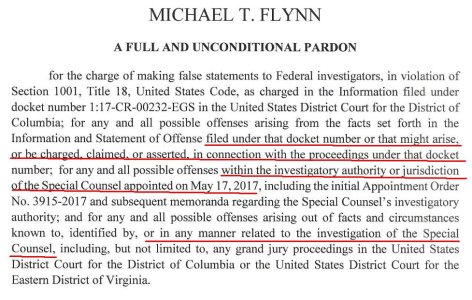 Flynn.jpg