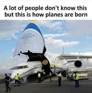 FB_IMG_1704388721893.jpg