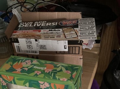 IMG_1387.jpeg