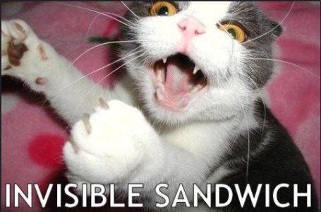 InvisibleSandwich.JPG