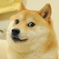 doge.jpg